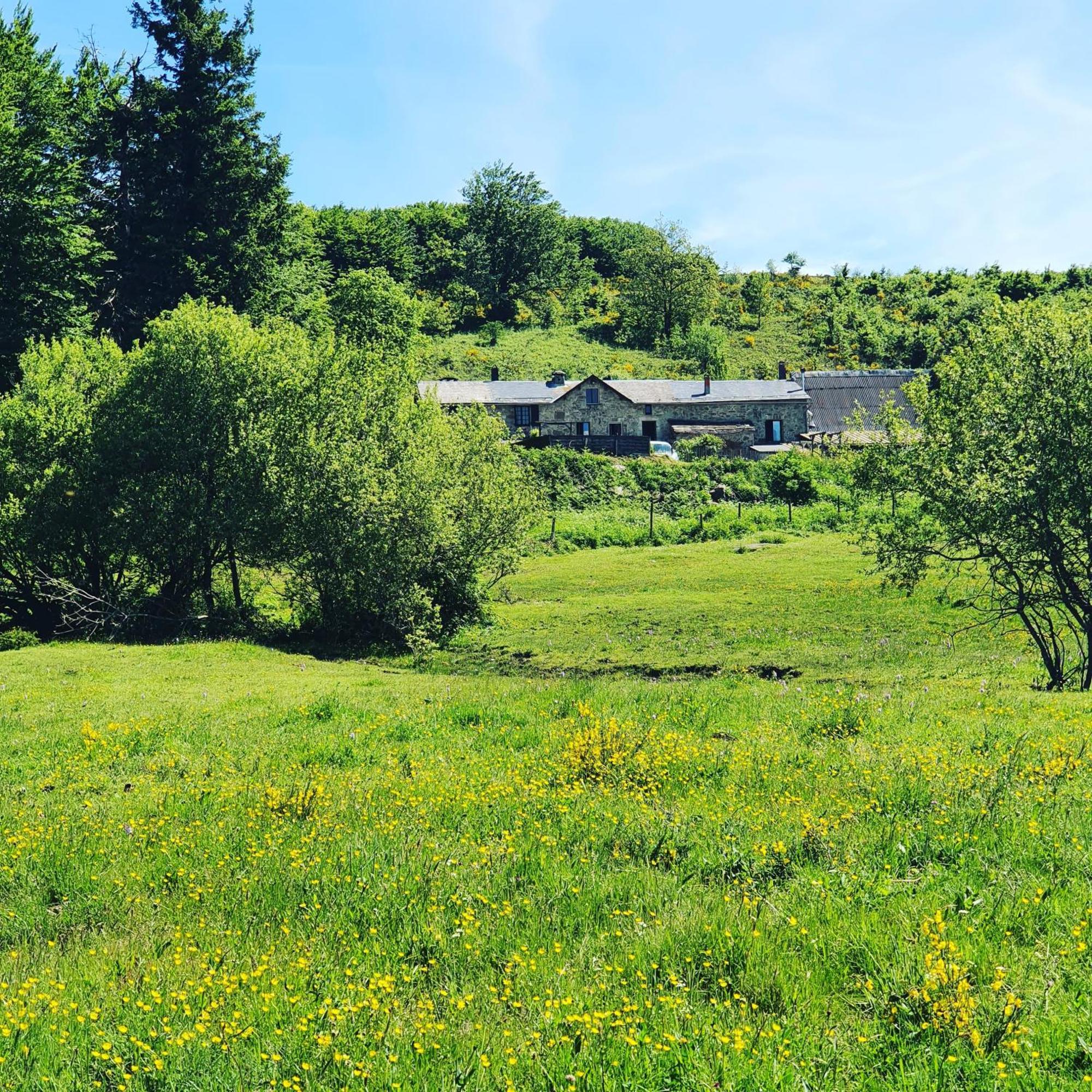 Ranch Du Haut-Languedoc La Salvetat-sur-Agout Kültér fotó