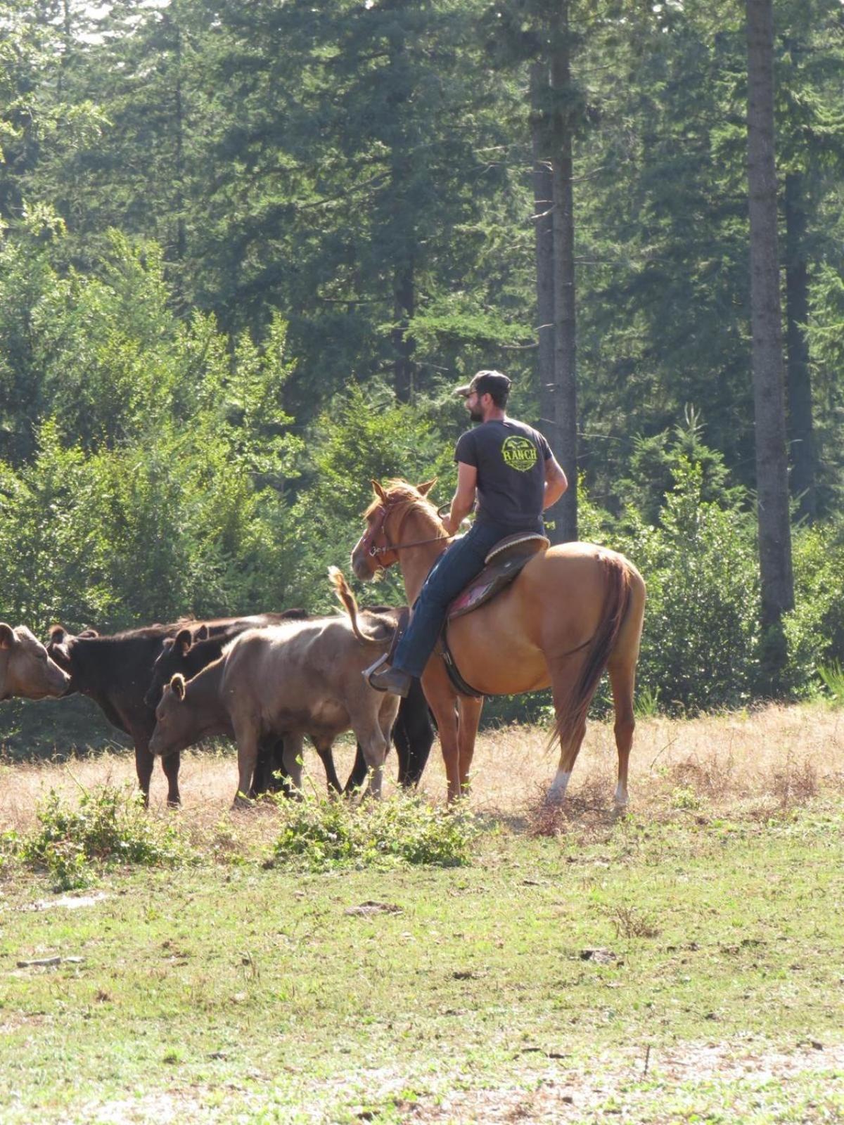 Ranch Du Haut-Languedoc La Salvetat-sur-Agout Kültér fotó